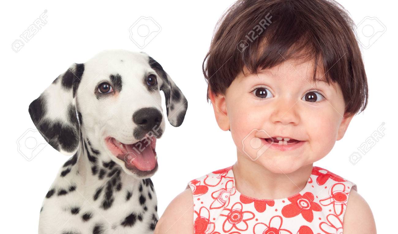 Bebe Drole Avec Un Beau Chien Dalmatien Isole Sur Un Fond Blanc Banque D Images Et Photos Libres De Droits Image