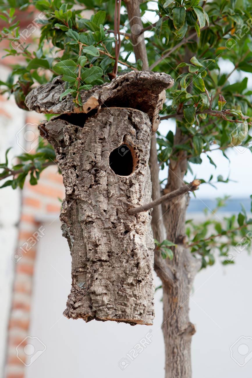 bark birdhouse