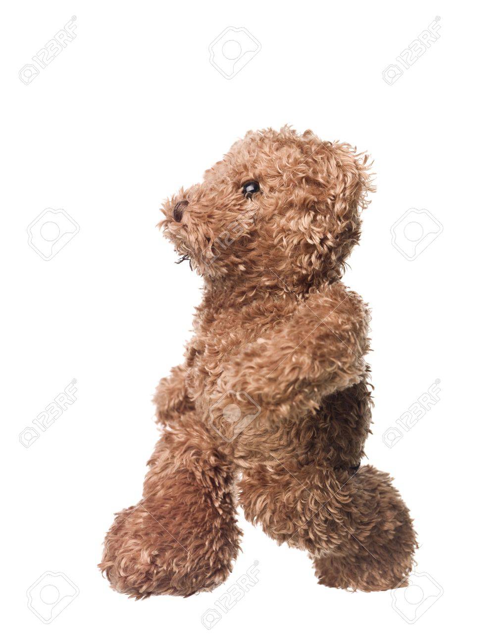 walking teddy bear