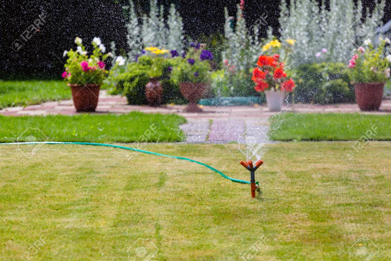 草や花の水やり 庭のスプリンクラー の写真素材 画像素材 Image