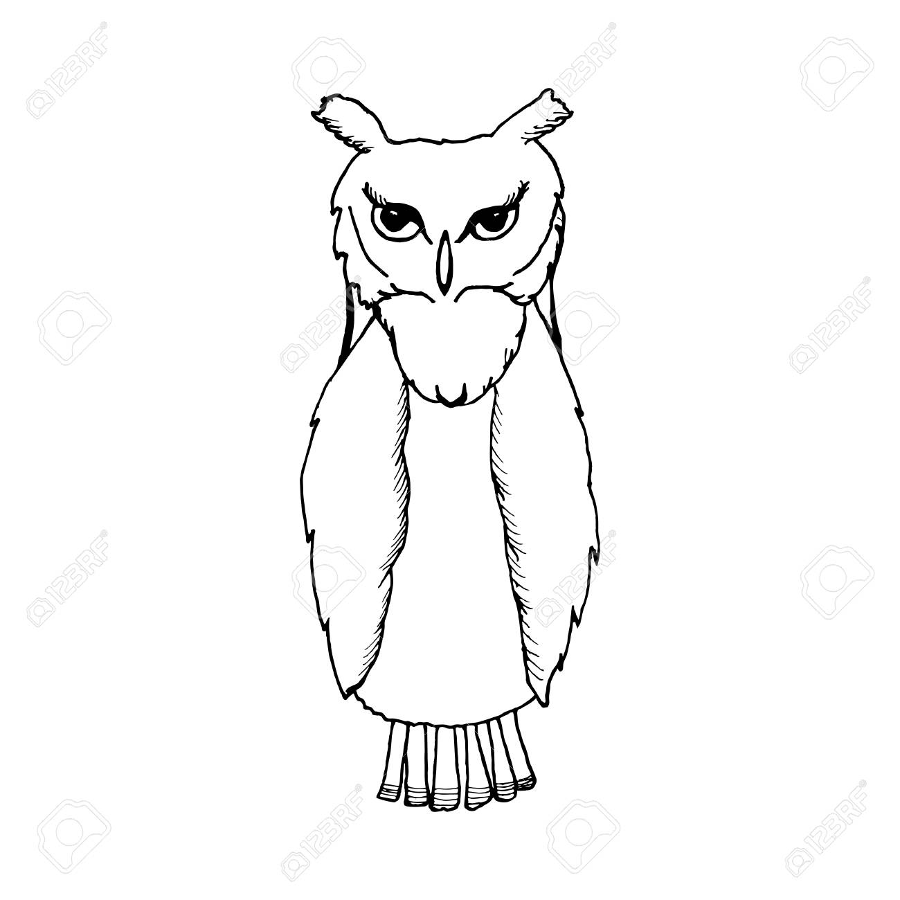 Hand Draw An Owl In The Style Of The Sketch To Design Cards