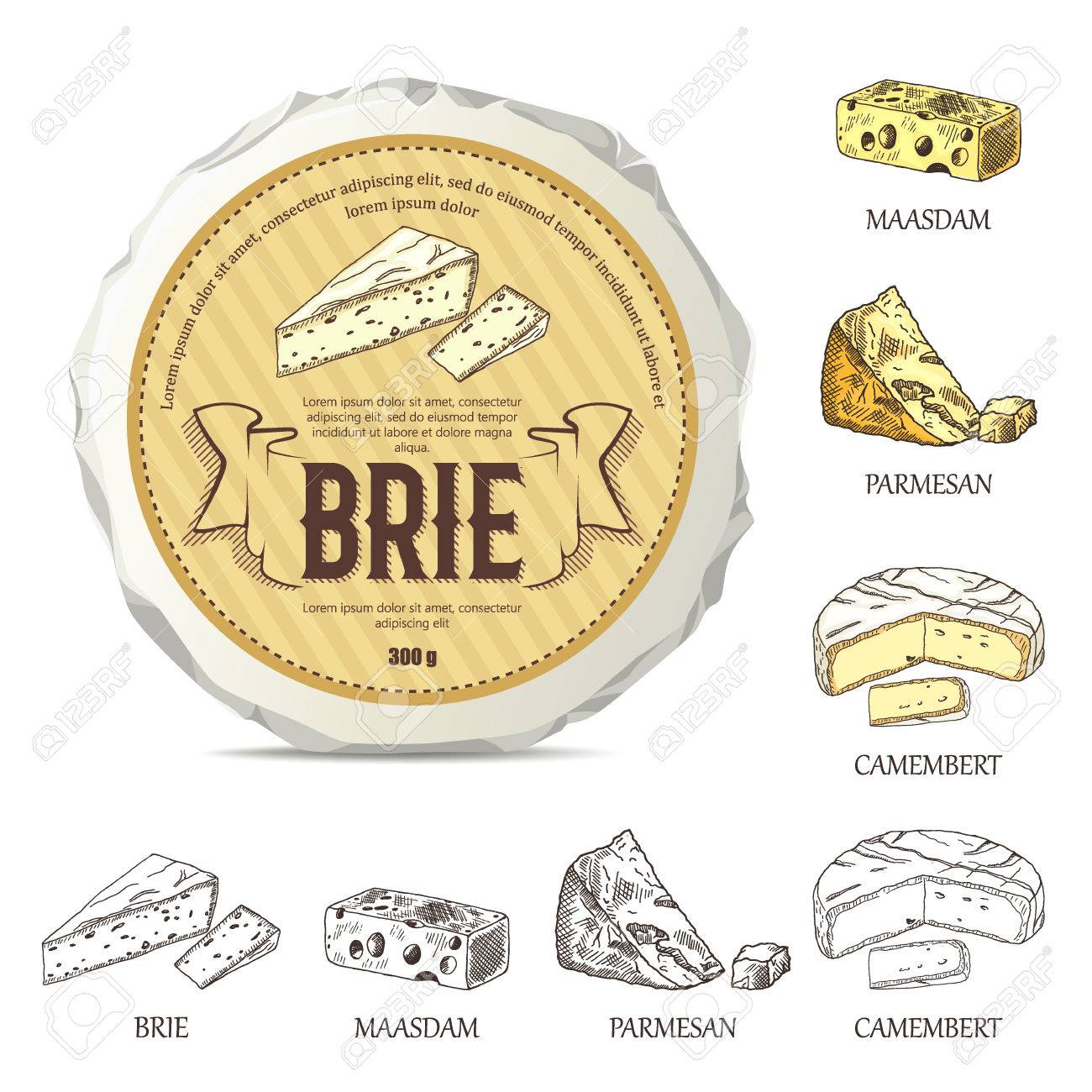 Download Creative Sticker For Brie On Round Cheese Mockup Vector Illustration Stock Photo Picture And Royalty Free Image Image 72491146