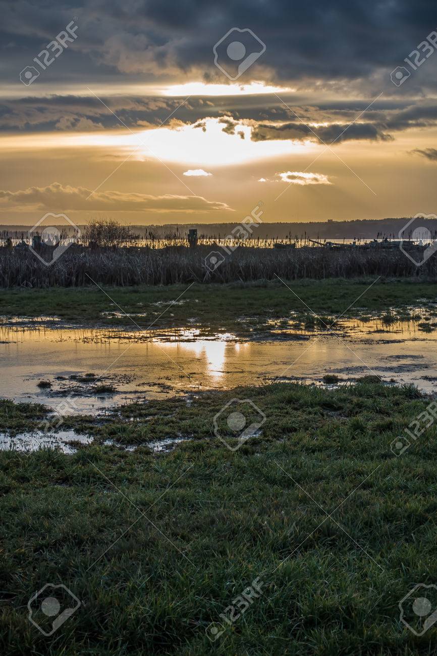 ピュー ジェット湾の夕日は 小さな池に反映されます の写真素材 画像素材 Image
