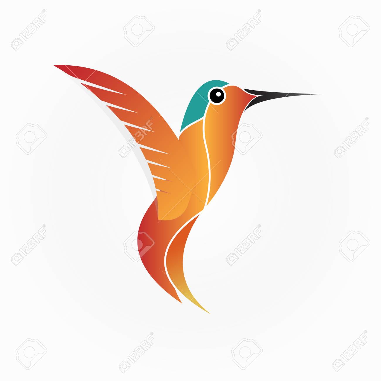 hummingbird vector illustration royalty free cliparts vectors