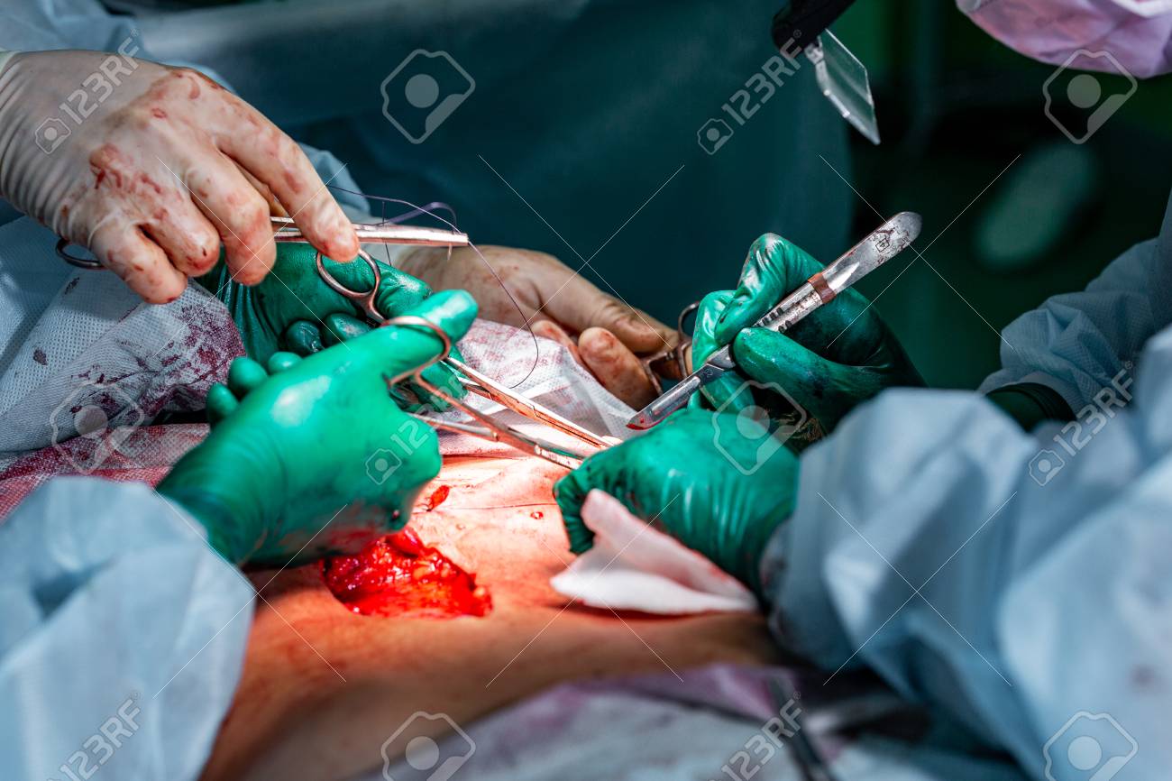 etiam-dictum-ipsum-a-felis