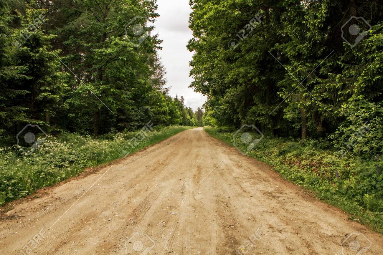 風景　森の小道 file.jpg