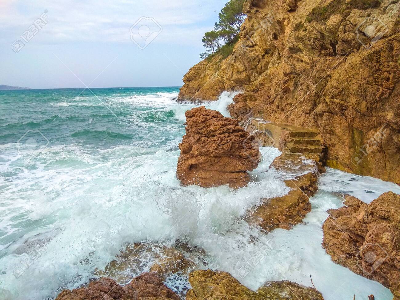 etiam-dictum-ipsum-a-felis