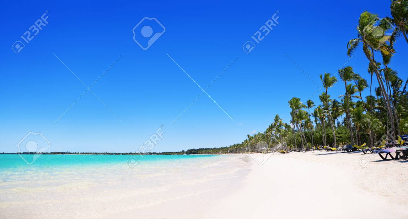 Les Palmiers Et La Plage De Sable Bavaro Punta Cana République Dominicaine