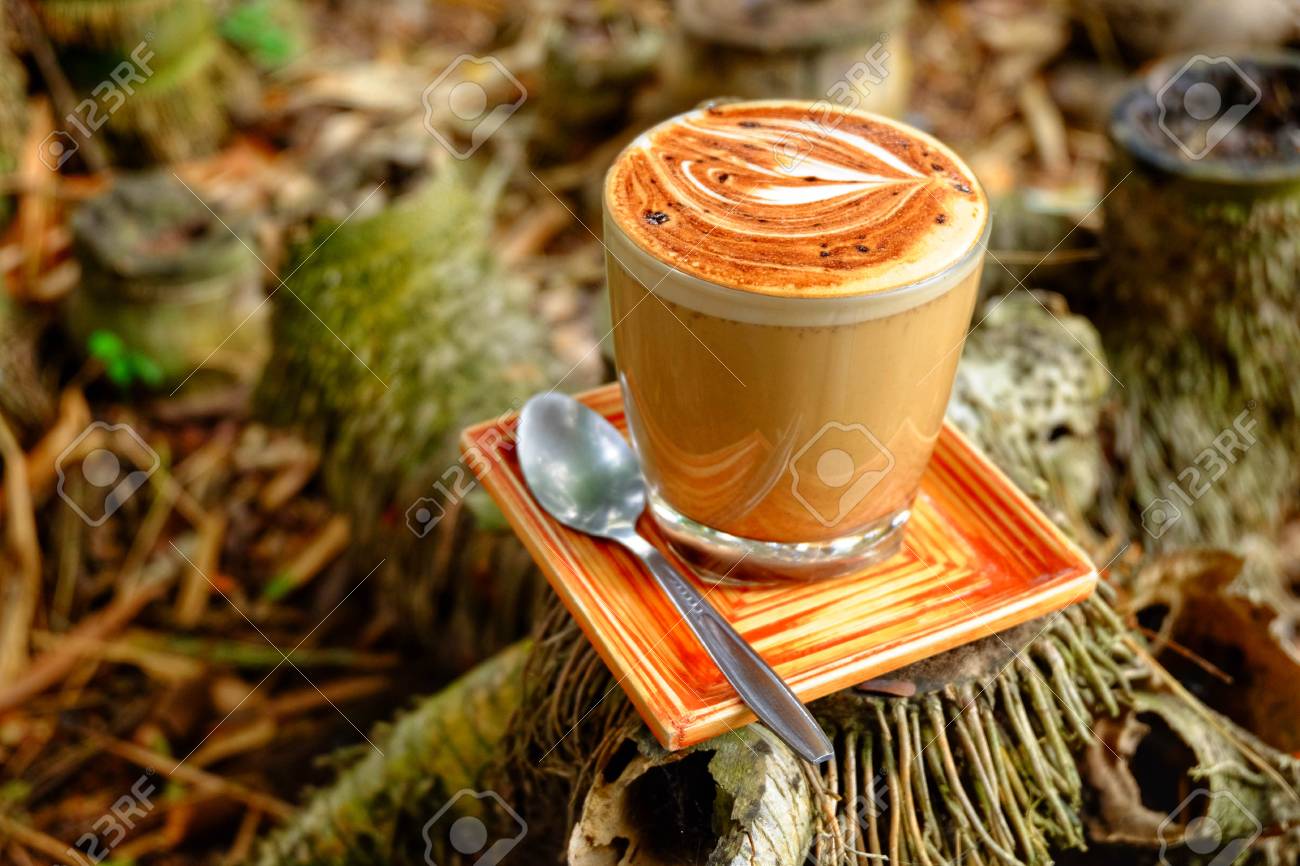 mocha coffee mug mocha coffee cup put on bamboo stump stock photo