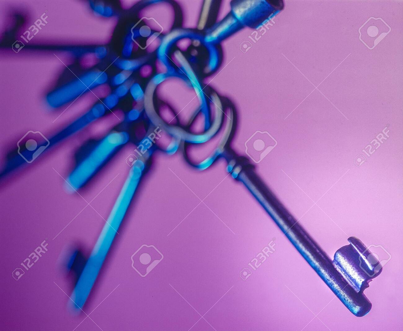 etiam-dictum-ipsum-a-felis