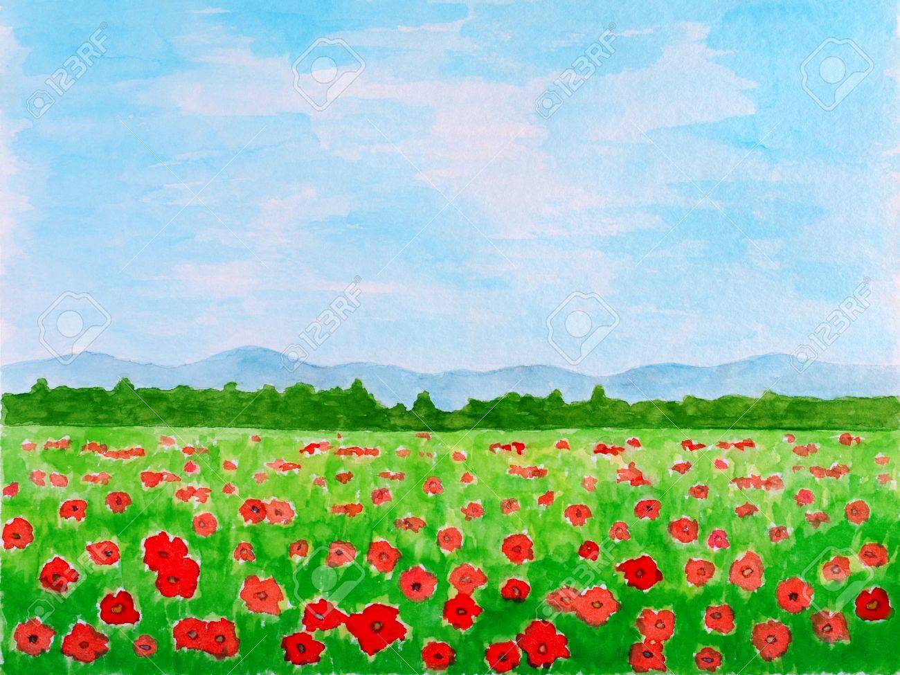 ケシの花の牧草地や夏の風景水彩画手描き の写真素材 画像素材 Image