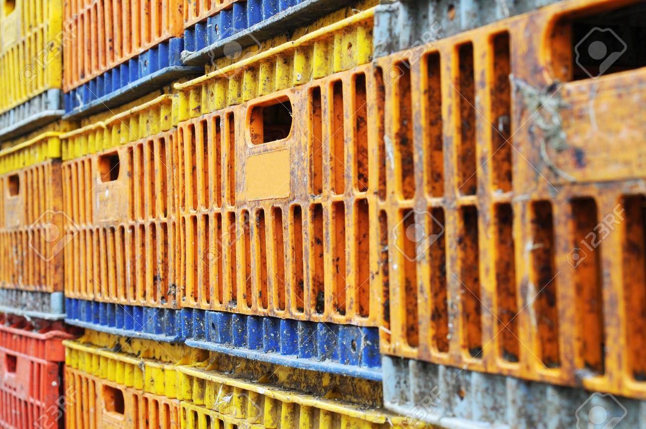 etiam-dictum-ipsum-a-felis