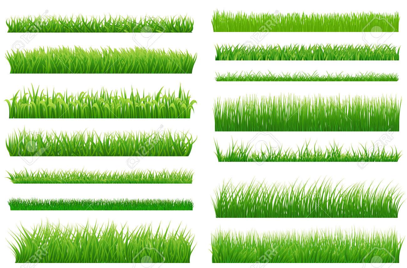 5 968 blade of grass stock illustrations cliparts and royalty free free grass vector