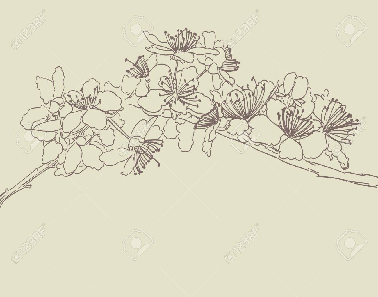 開花ツリー ライン アートの手には 図が描画されます さくら花概要抽象的な背景 のイラスト素材 ベクタ Image 開花ツリー ライン アートの手には 図が描画されます さくら花概要抽象的な背景 のイラスト素材 ベクタ Image
