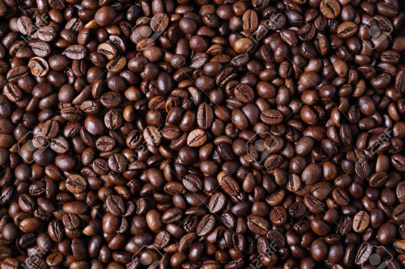 Robusta Coffee Beans Stock Photo, Picture And Royalty Free Image. Image 27689394.