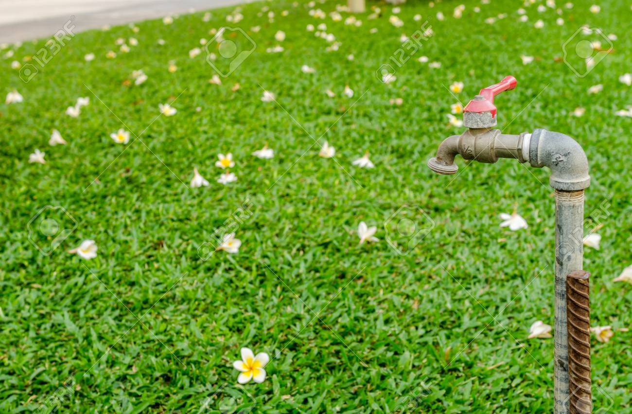 Wasserhahn Im Garten Grunen Hintergrund Lizenzfreie Fotos Bilder Und Stock Fotografie Image 46964476