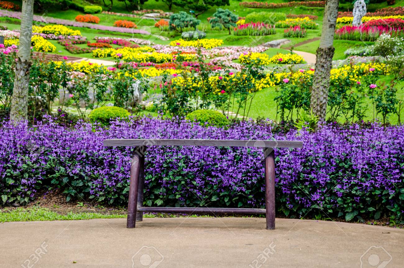 Purple Flower And Blur Background In The Garden Vintage Tone