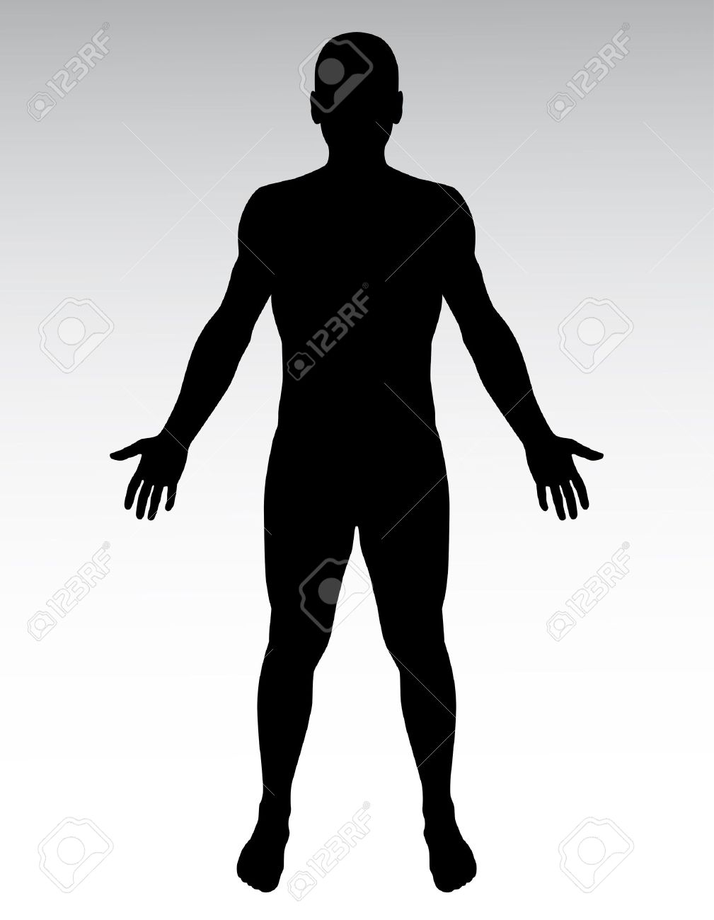 human vectors