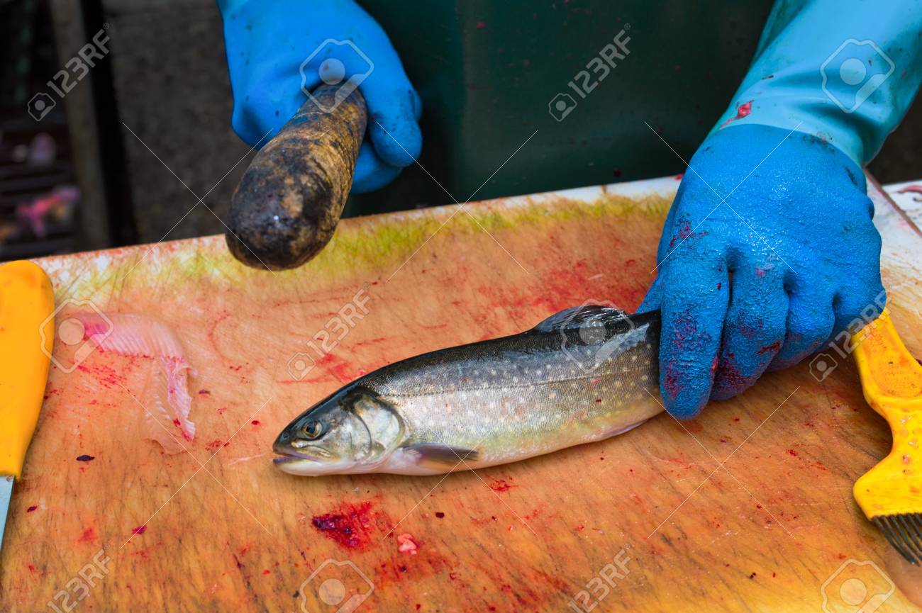 漁師魚市場で水揚げされた魚を検索します の写真素材 画像素材 Image
