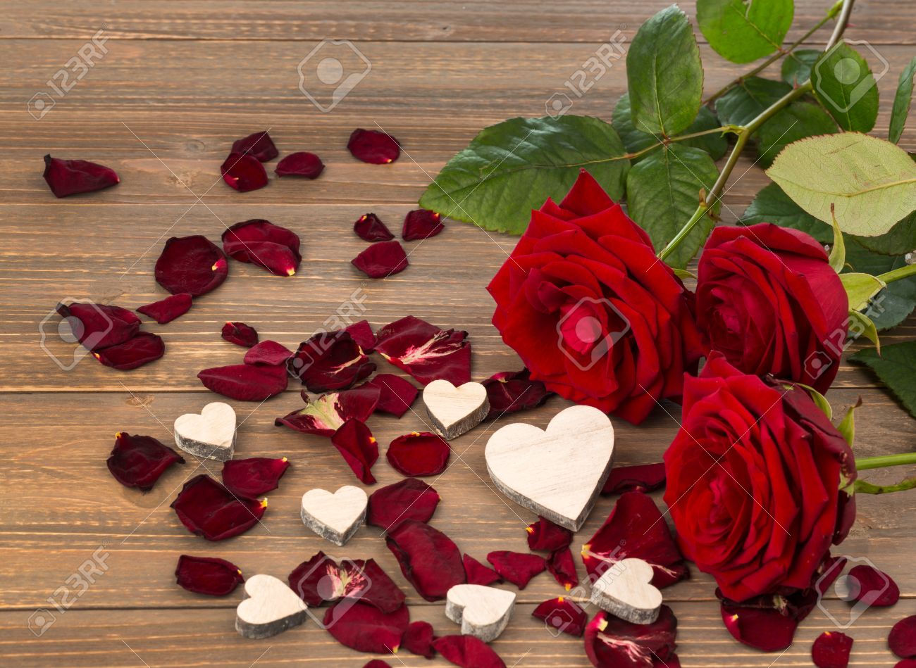 Roses Comme Un Cadeau Et Une Surprise Pour Une Fete Symbole Photo Pour L Anniversaire Le Jour De Mere L Amour La Saint Valentin Banque D Images Et Photos Libres De Droits Image