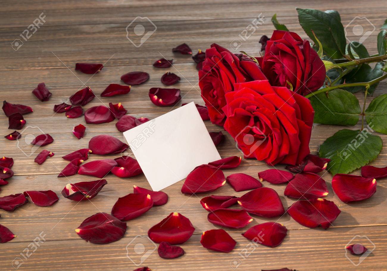 Les Roses Comme Cadeau Et Une Surprise Pour Un Festin Symbole Photo Pour L Anniversaire La Fete Des Meres L Amour La Saint Valentin Banque D Images Et Photos Libres De Droits Image