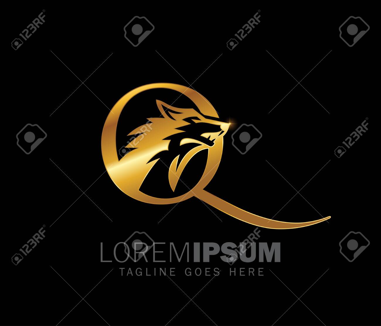 A Vector Illustration Of Golden Wolf Initial Letter Q Logo Sign Royalty Free Cliparts Vectors And Stock Illustration Image