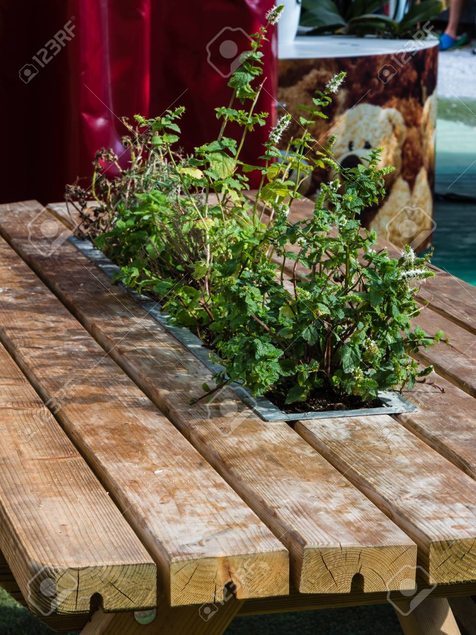 Table with plants inside deals