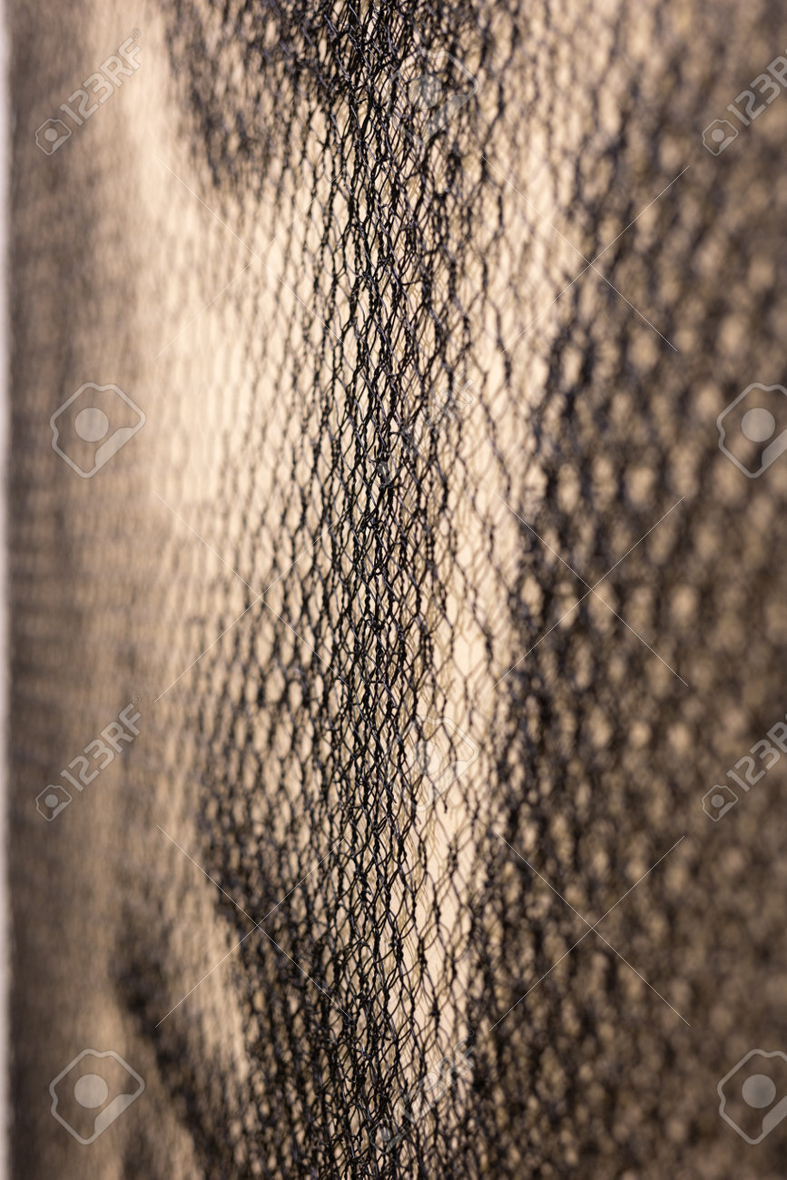 etiam-dictum-ipsum-a-felis