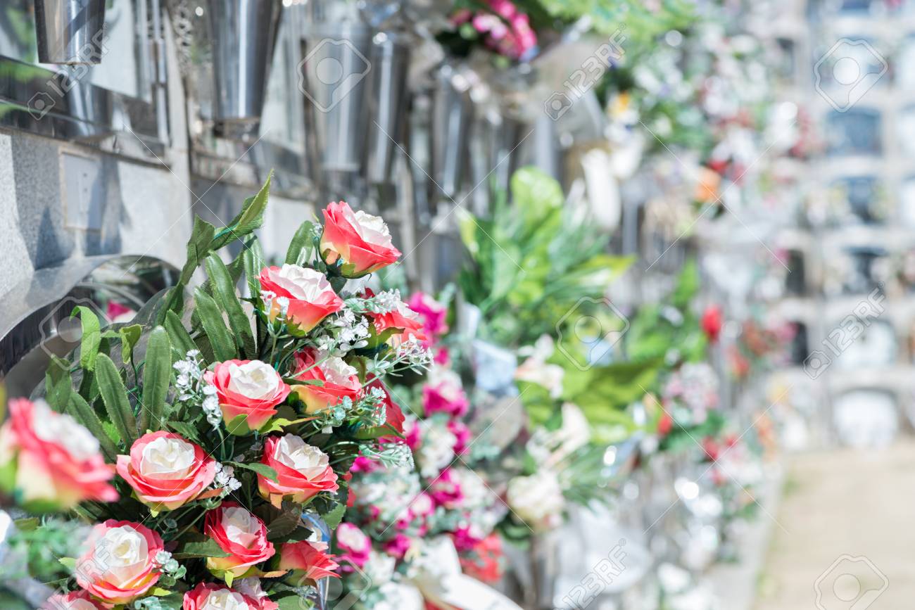 What are the flowers in the cemetery 69 What are the flowers in the cemetery 80