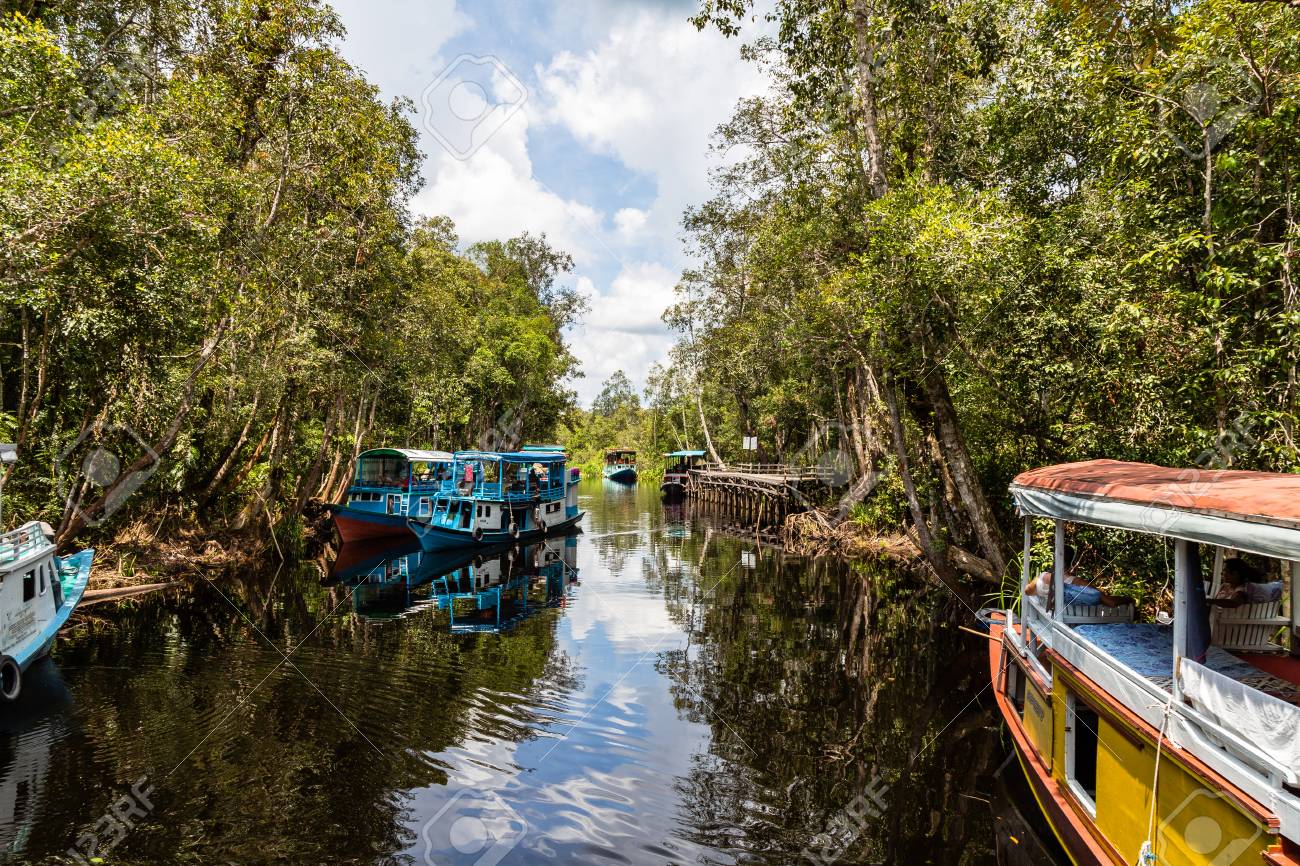 Oct 2017 Tanjung Puting National Park Kumai Borneo Indonesia Klotok Floating On The Black Water River Outside Camp Leakey The Most Famous Feeding Station For The Orangutans Inside The Par Stock Photo