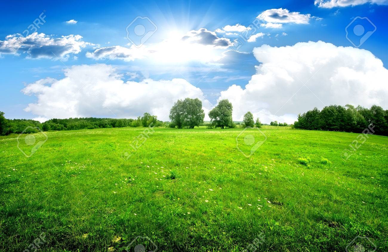 Green lawn and trees under beautiful clouds - 50410086 Green lawn and trees under beautiful clouds - 50410086