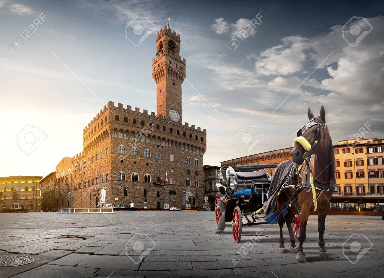 Horse on Piazza della Signoria in Florence at dawn, Italy - 69761632 Horse on Piazza della Signoria in Florence at dawn, Italy - 69761632