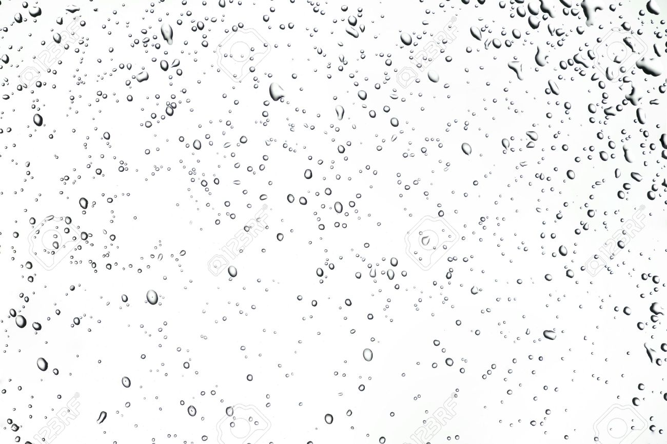 Close-up Of Water Drops On White Background Stock Photo, Picture and  Royalty Free Image. Image 6039442.