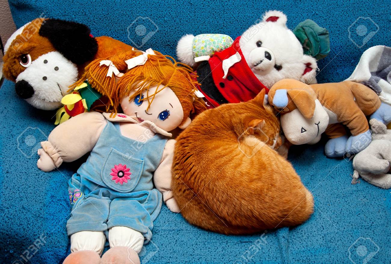 etiam-dictum-ipsum-a-felis