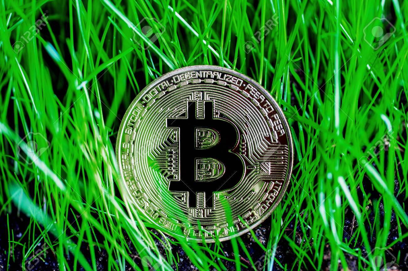 푸른 잔디에 비트 코인 동전 로열티 무료 사진, 그림, 이미지 그리고 스톡포토그래피. Image 121187482