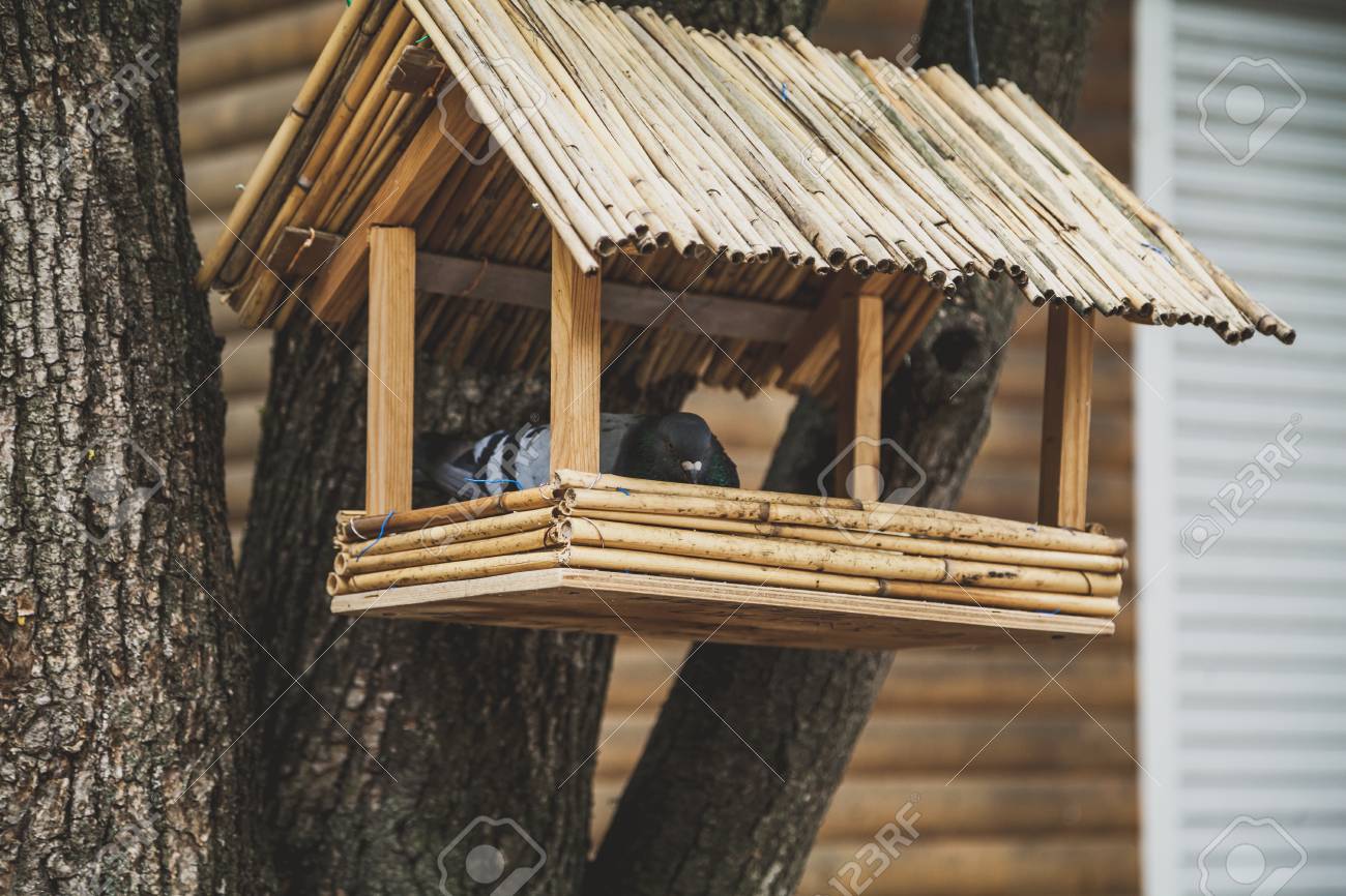 Homemade Wooden Bird Feeder With A Dry Cane Roof Weighs On A
