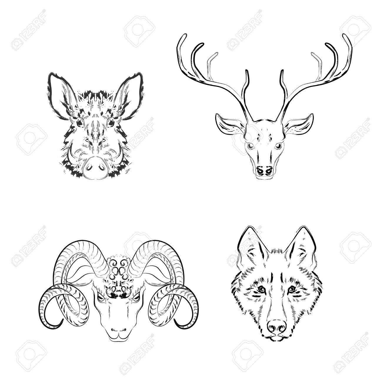 set of animals sketches deer wild boar wolf longhorn sheep sketches of deer