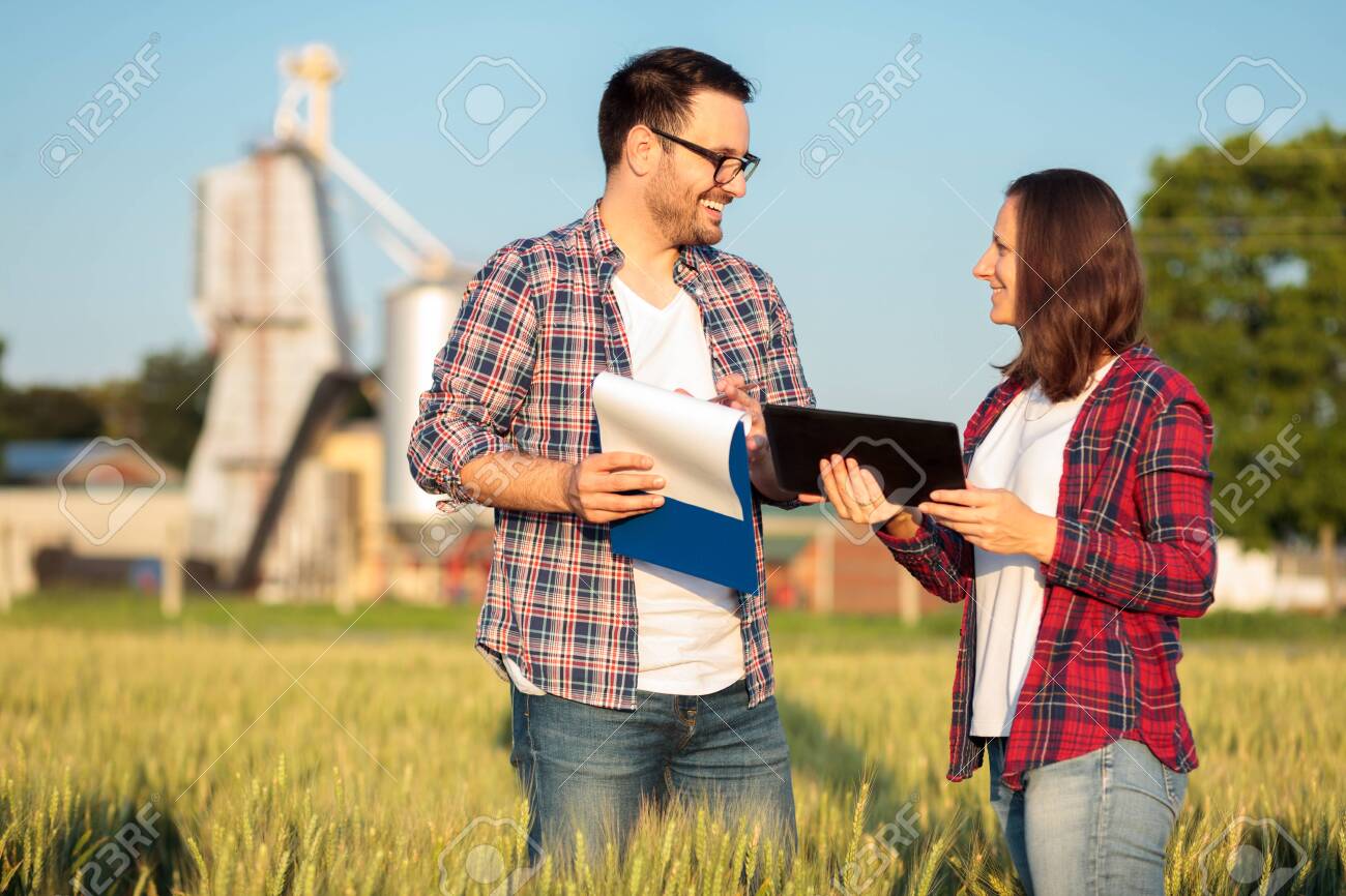 Two happy young male and female farmers or agronomists inspecting a wheat field before the harvest. Checking data on a tablet and clipboard. Organic farming and healthy food production. - 131578482 Two happy young male and female farmers or agronomists inspecting a wheat field before the harvest. Checking data on a tablet and clipboard. Organic farming and healthy food production. - 131578482