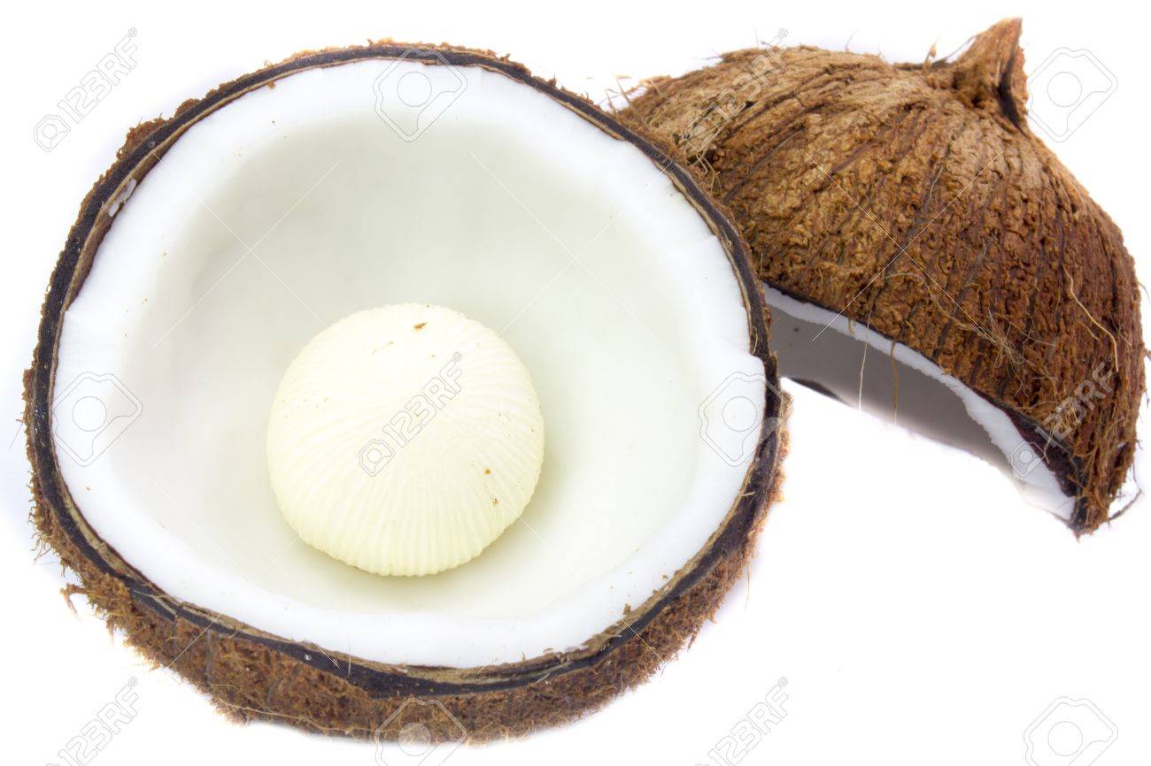 Graine de cocotier Graine de cocotier