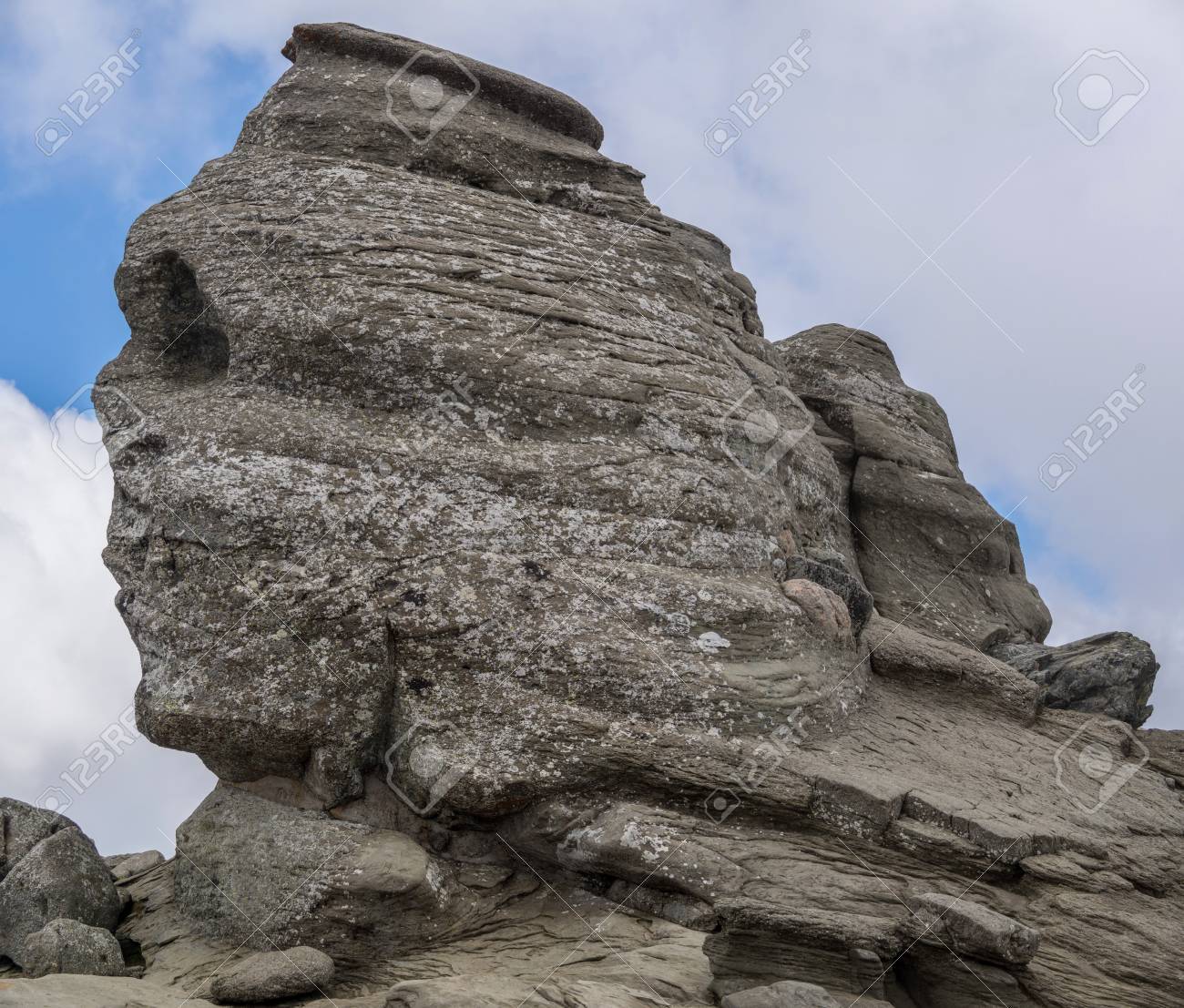 etiam-dictum-ipsum-a-felis