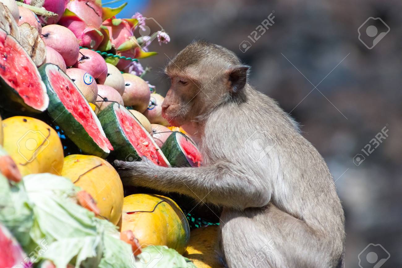 Dieta mono fruta
