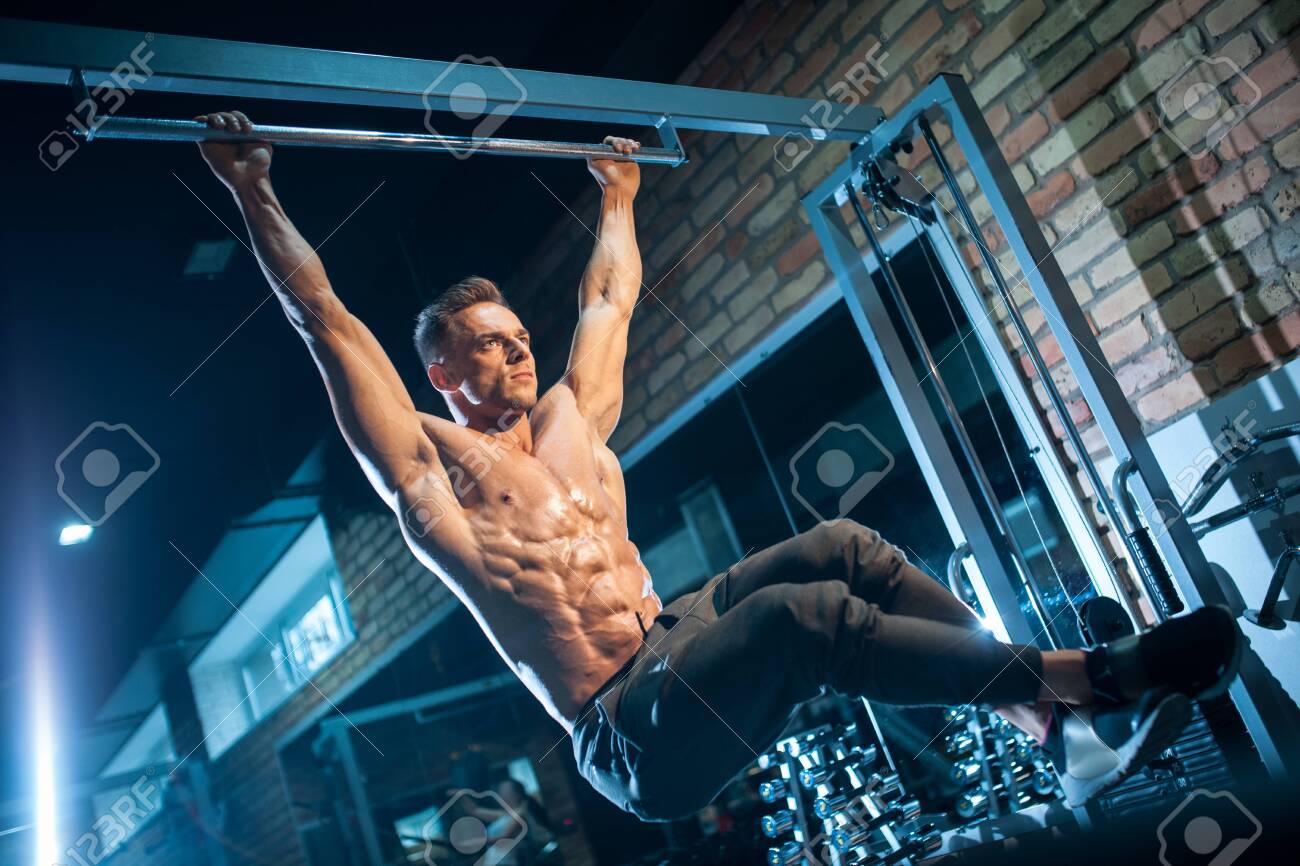 perfect fitness perfect basic pullup