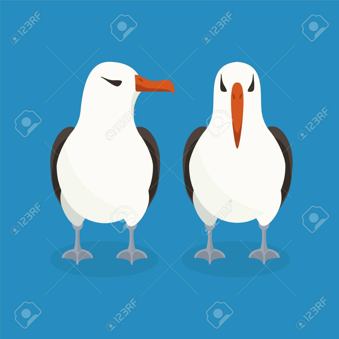 2 つのアホウドリは 隣同士に座っています カラフルなベクトルの平面図 のイラスト素材 ベクタ Image