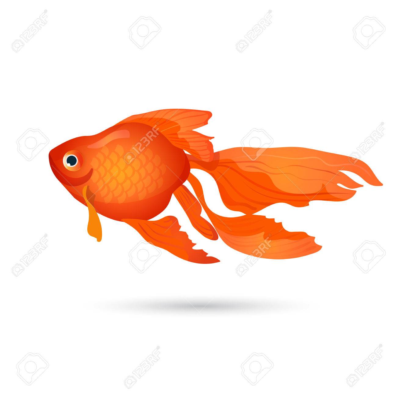 金魚は 白で隔離 小赤水槽の魚 水生の現実的なキャラクター 戦車の生息地 フラット スタイルのデザインで水中の朱色 エレガントな家のペット コイ科の淡水魚 ベクトル のイラスト素材 ベクタ Image 金魚は 白で隔離 小赤水槽の魚 水生の現実的なキャラクター 戦車の生息地 フラット スタイルのデザインで水中の朱色 エレガントな家のペット コイ科の淡水魚 ベクトル のイラスト素材 ベクタ Image