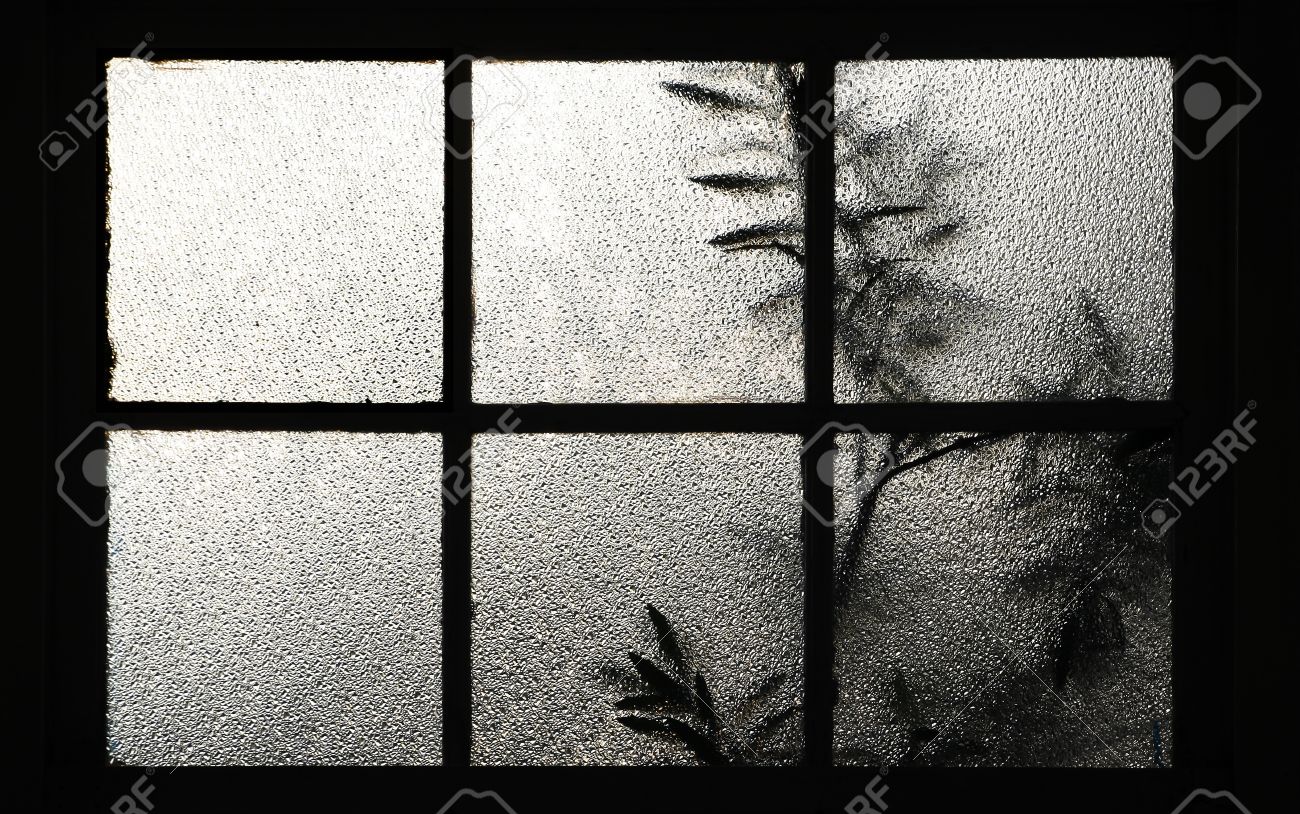 Glass Window Texture tree behind a window texture of frosted glass stock photo, picture Glass Window Texture tree behind a window texture of frosted glass stock photo, picture