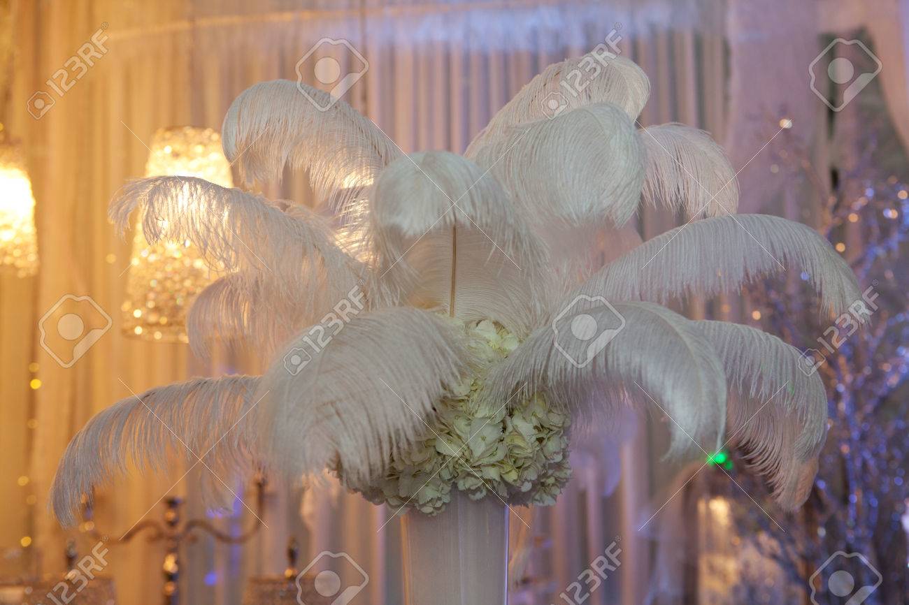 Ostrich Feathers In A Vase As A Decoration Stock Photo Picture