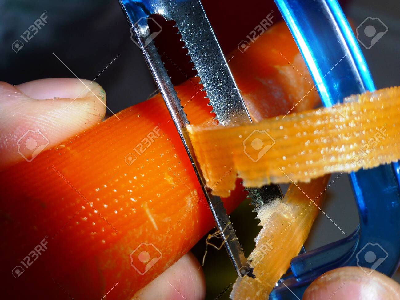 etiam-dictum-ipsum-a-felis