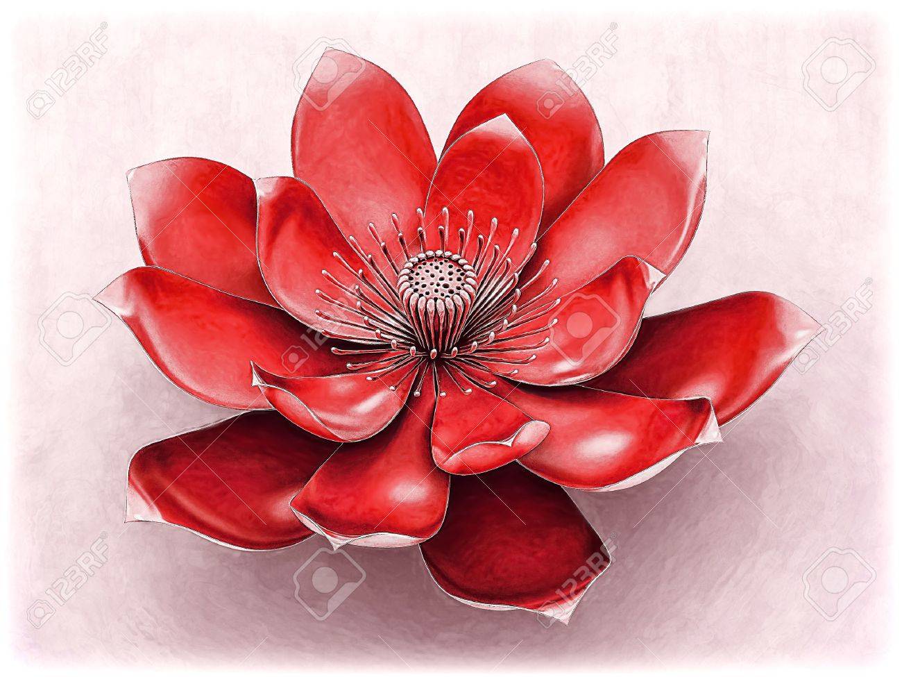 Lotus Flower With Chakra Color Red Stock Photo Picture And Royalty Free Image Image