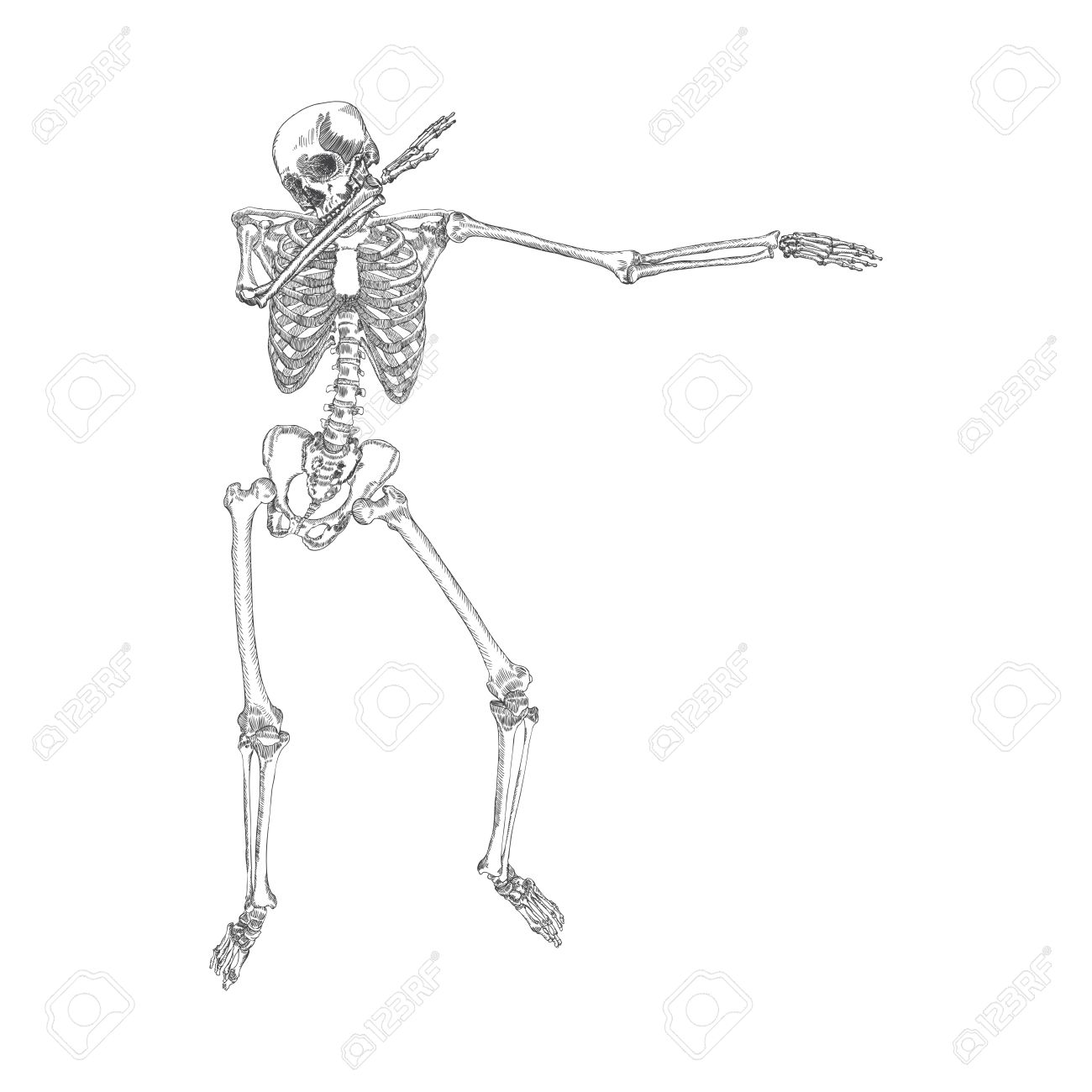 human skeleton making dab perform dabbing dance move gesture