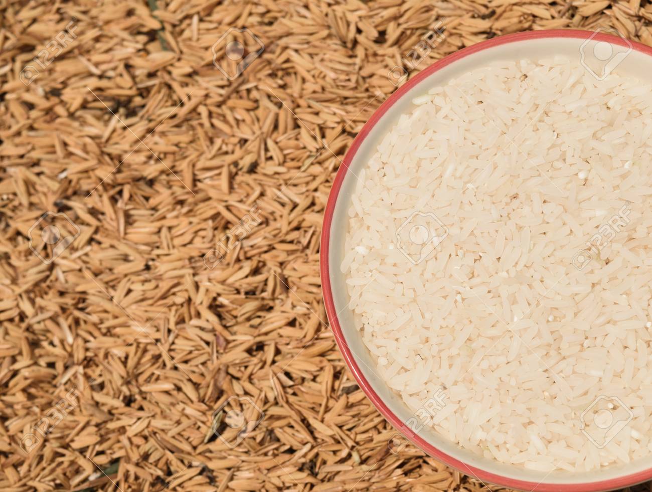 ご飯粒の背景 の写真素材 画像素材 Image